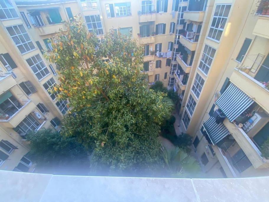 Domus Giulia & Andrea Apartment Rome Bagian luar foto